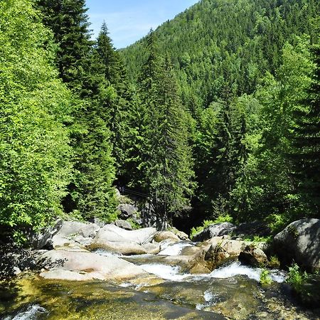 Cabana Cascada Carnic Nucsoara  Luaran gambar