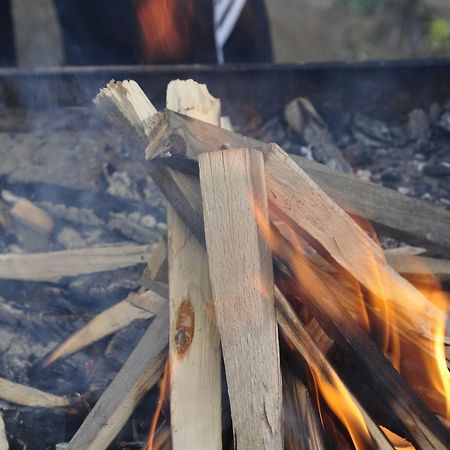Cabana Cascada Carnic Nucsoara  Luaran gambar