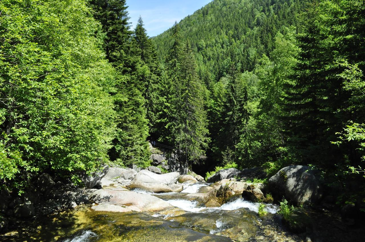 Cabana Cascada Carnic Nucsoara  Luaran gambar