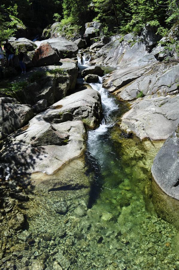 Cabana Cascada Carnic Nucsoara  Luaran gambar