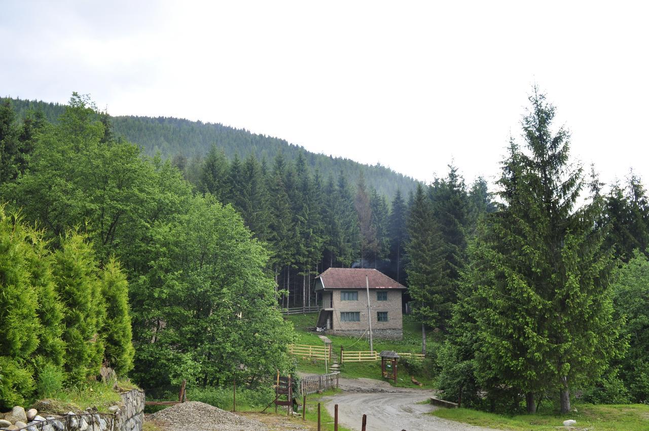 Cabana Cascada Carnic Nucsoara  Luaran gambar